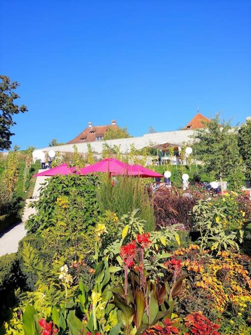 Rodtsches Palais 15 Apartment *
